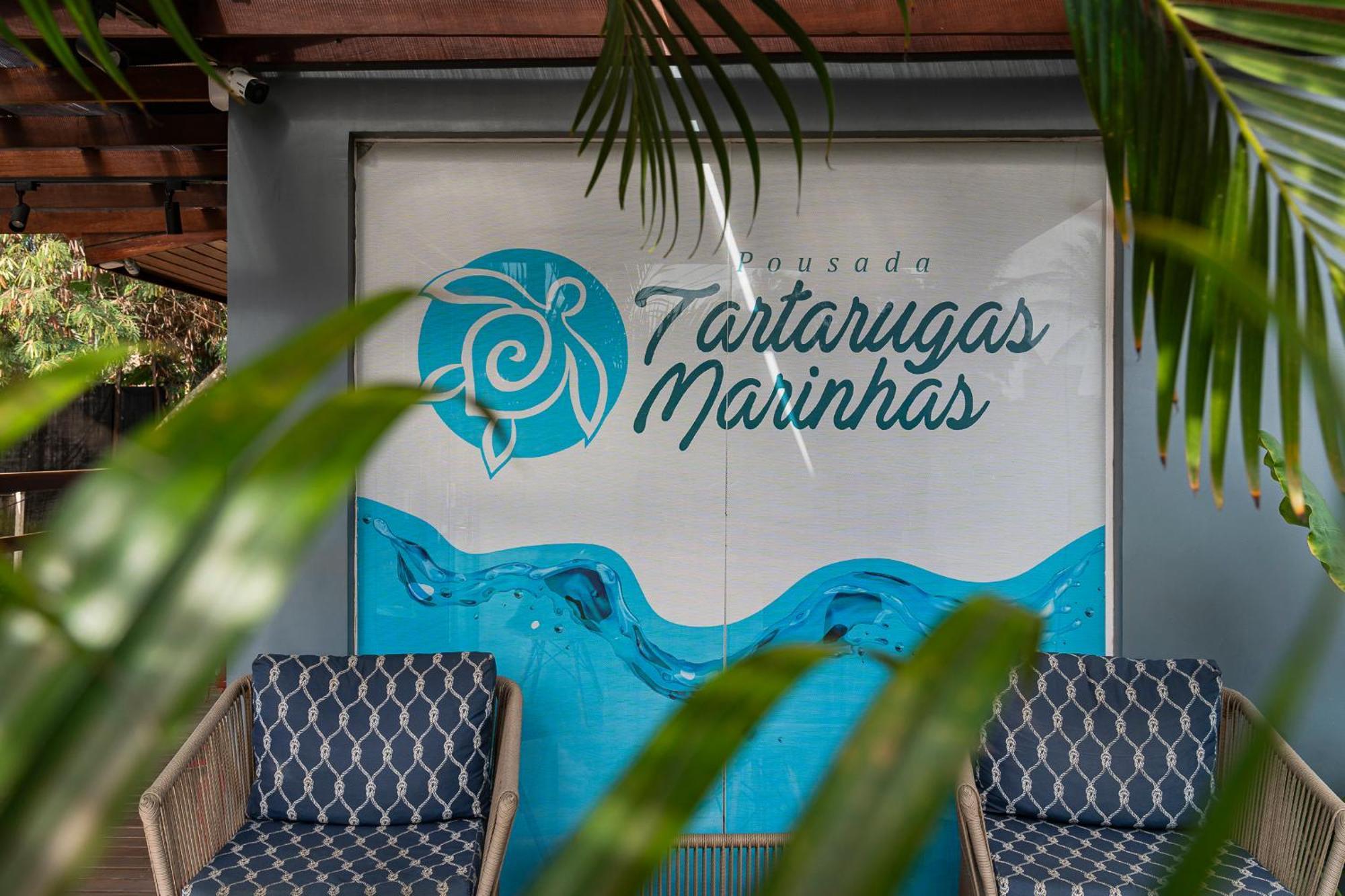 Tartarugas Marinhas Fernando de Noronha